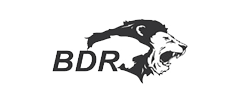 BDR Pharmaceuticals